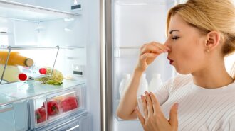 Як мити холодильник усередині, щоб не було запаху
