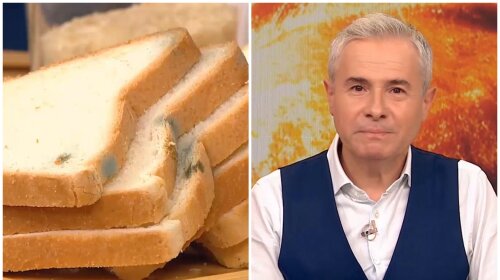 Константин Грубич рассказал, почему хлеб быстро плесневеет