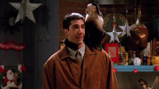 «The One with the Monkey»