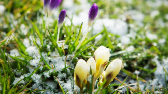 Похолодання, весна, погода, зображення з вільних джерел