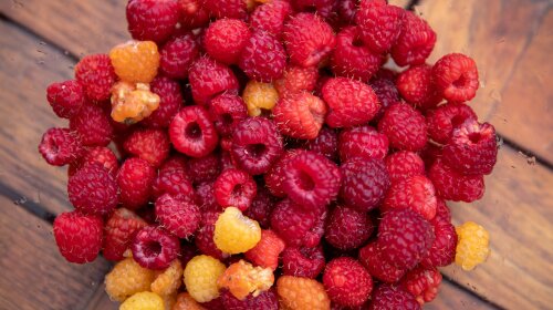 Мити чи не мити ягоди?: фахівець відповіла на головне питання літа