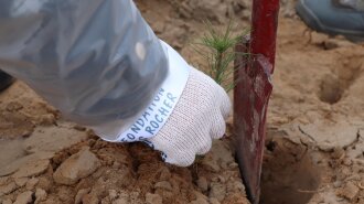 Фонд Yves Rocher в 2021 році висадив ще 100 тисяч дерев в Україні