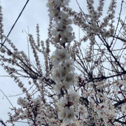 Весна, гороскоп, погода