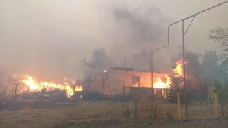 85 пожеж: у Луганській області трапилася серія лісових загорянь-рятувальники евакуюють постраждалих із сіл-фото, Відео