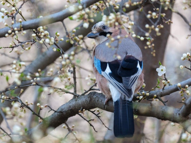 Весна, погода, фото із соцмереж