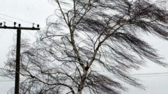 Украину накроет штормовой ветер и дожди: синоптик рассказала, в каких областях ждать непогоду
