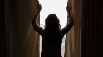 Ранок, вікно, зображення з вільних джерел