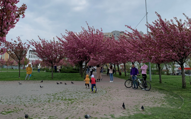 Погода