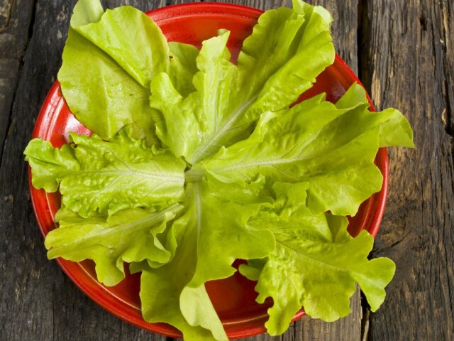 листья салата