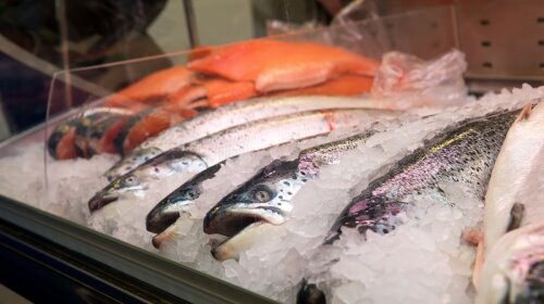 Фахівці назвали вид риби, який не можна купувати