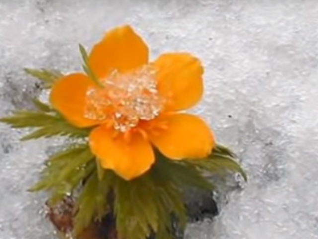 Погода, весна