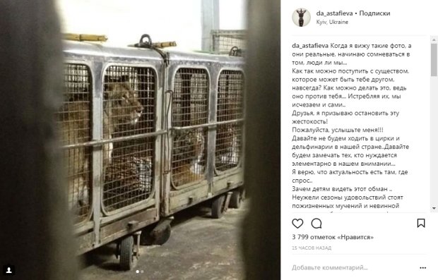 Скріншот Instagram-сторінки Даші Астаф'євої