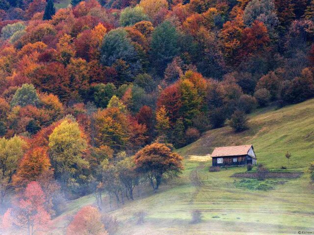 colors-of-autumn-carpathians-ukraine-3