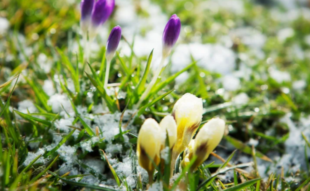 Похолодання, весна, погода, зображення з вільних джерел