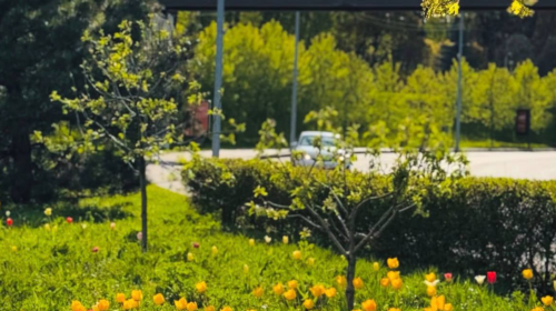 Потепління, весна, фото із соцмереж