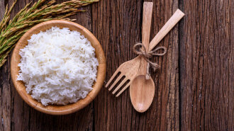 Cooking white rice (Thai Jasmine rice) in wooden bowl with wooden spoon, wooden fork and unmilled ri