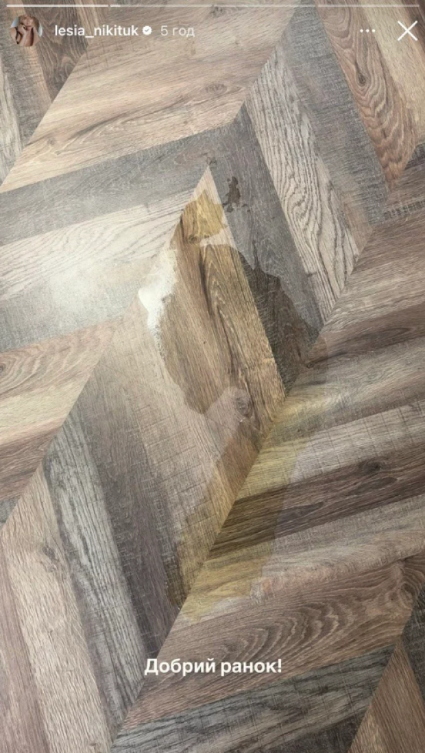 Скрин публикации Леси Никитюк