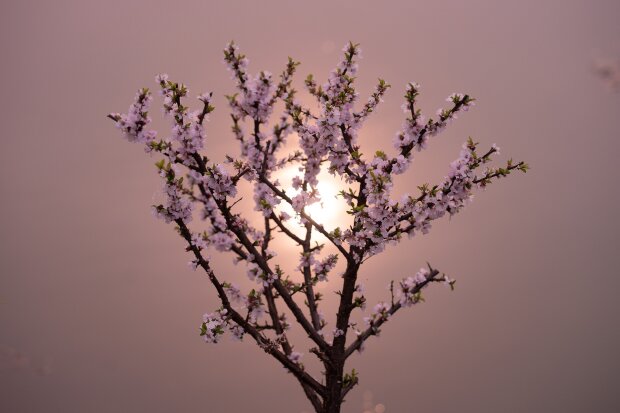 Ритуал на весеннее равноденствие «Помощь неба»