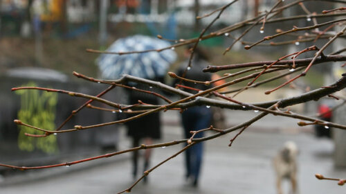Резкое похолодание и осадки: синоптик рассказала, в каких областях Украины ожидается ухудшение погоды