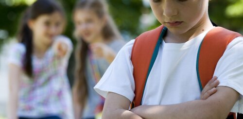 Вчителька дозволила знущатися над школярем