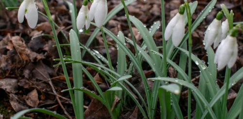 Весна, погода, фото: majborodinruslan1990/depositphotos