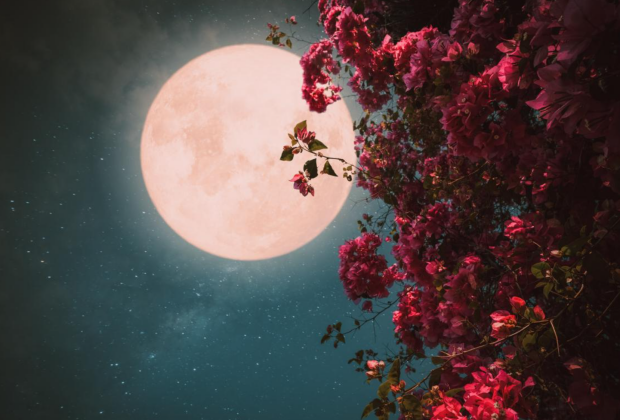 Полнолуние, изображение: ua.depositphotos.com