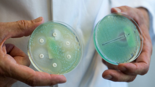 Специалисты назвали самые опасные антибиотики
