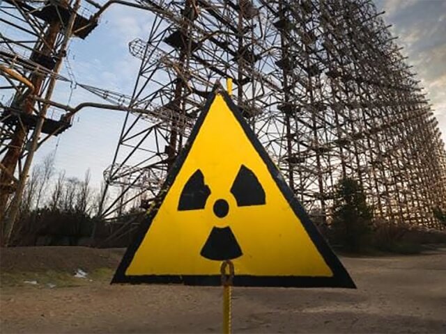 Животные в Чернобыле