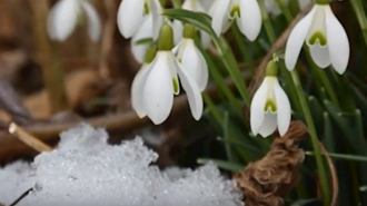 Погода, весна