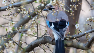 Весна, погода, фото із соцмереж