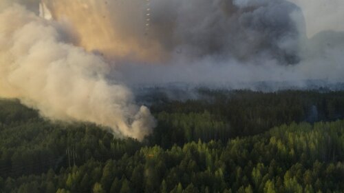 В Чернобыльской зоне горит лес, привлекли авиацию: что известно на данный момент