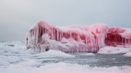 Снег в Антарктиде стал красным