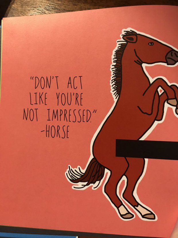 «Не роби вигляд, що ти не вражений». Кінь