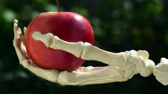 Не фрукт, а отрута: лікарі розповіли, кому не можна їсти яблука