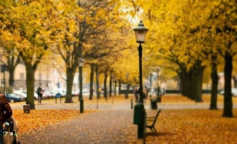 Осінь, погода, гороскоп