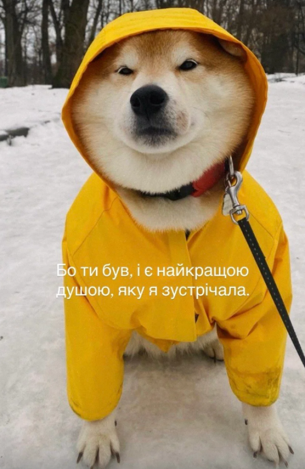 Скрин пубікації Даші Астаф'євої