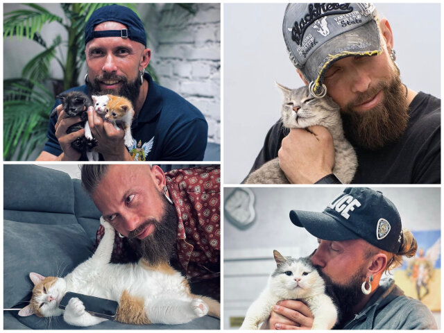 Звезда сериала "След" Суровцев – бородатая котомамуля: как брутальный актер спасает котиков