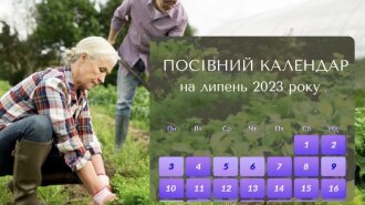 Посевный календарь на июль 2023 года