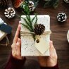 rawpixel-445788-unsplash