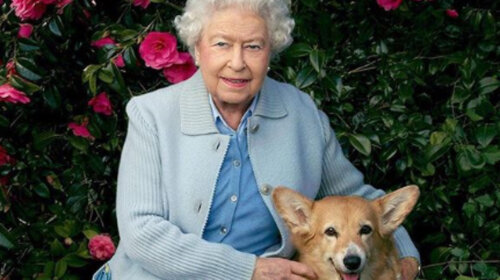 94-річна королева Єлизавета II може піти з престолу за коронавіруса – життя дорожче корони