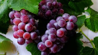 Что происходит с организмом, когда мы едим виноград?
