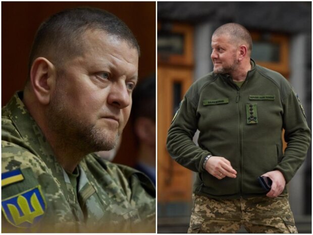 Валерій Залужний