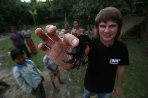Павуки у Камбоджі