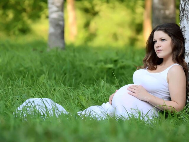 The pregnant woman in the summer on a grass