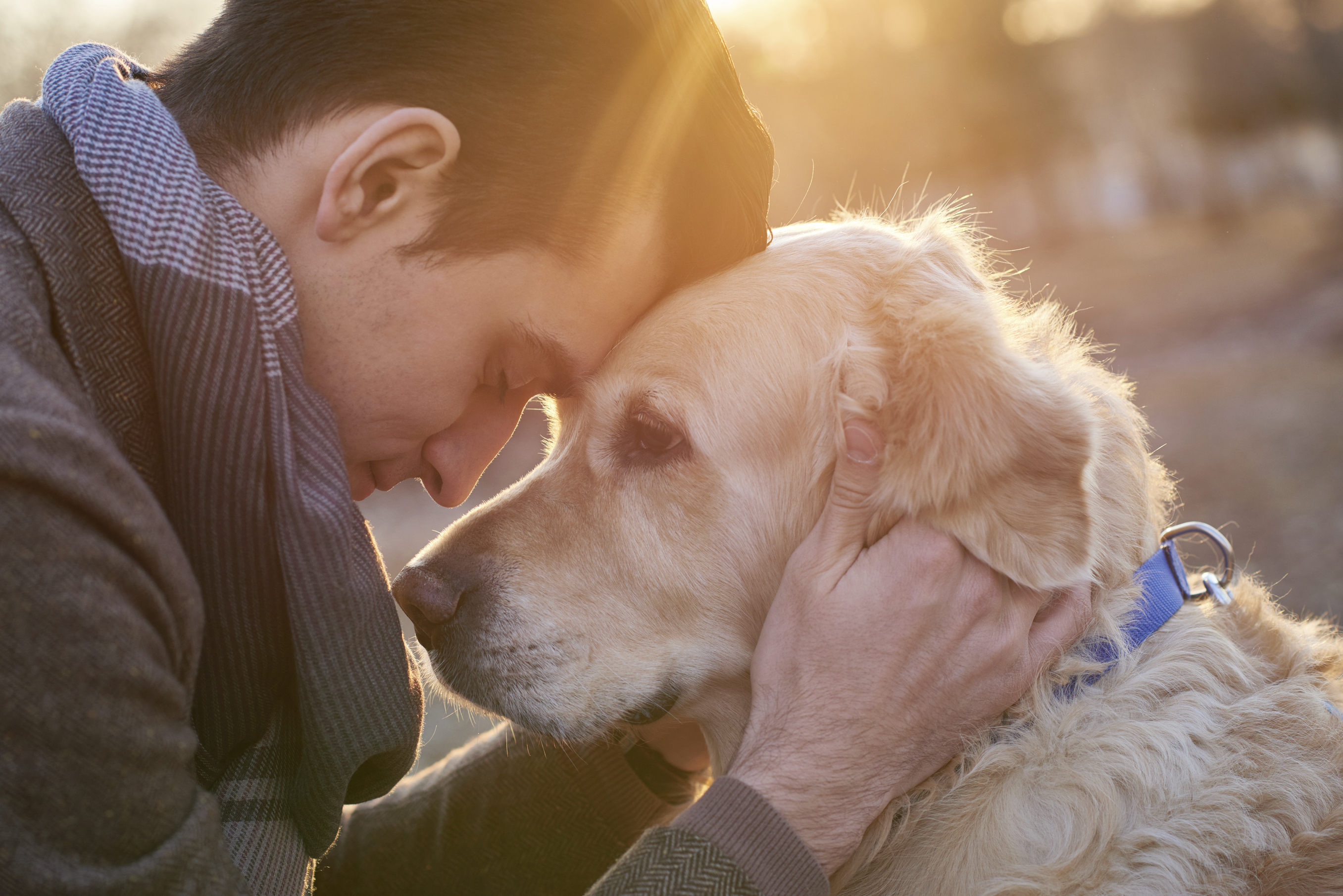 Собака верный друг человека почему ставится. Собака друг человека. Любовь к животным. Животные друзья человека. Парень обнимает собаку.