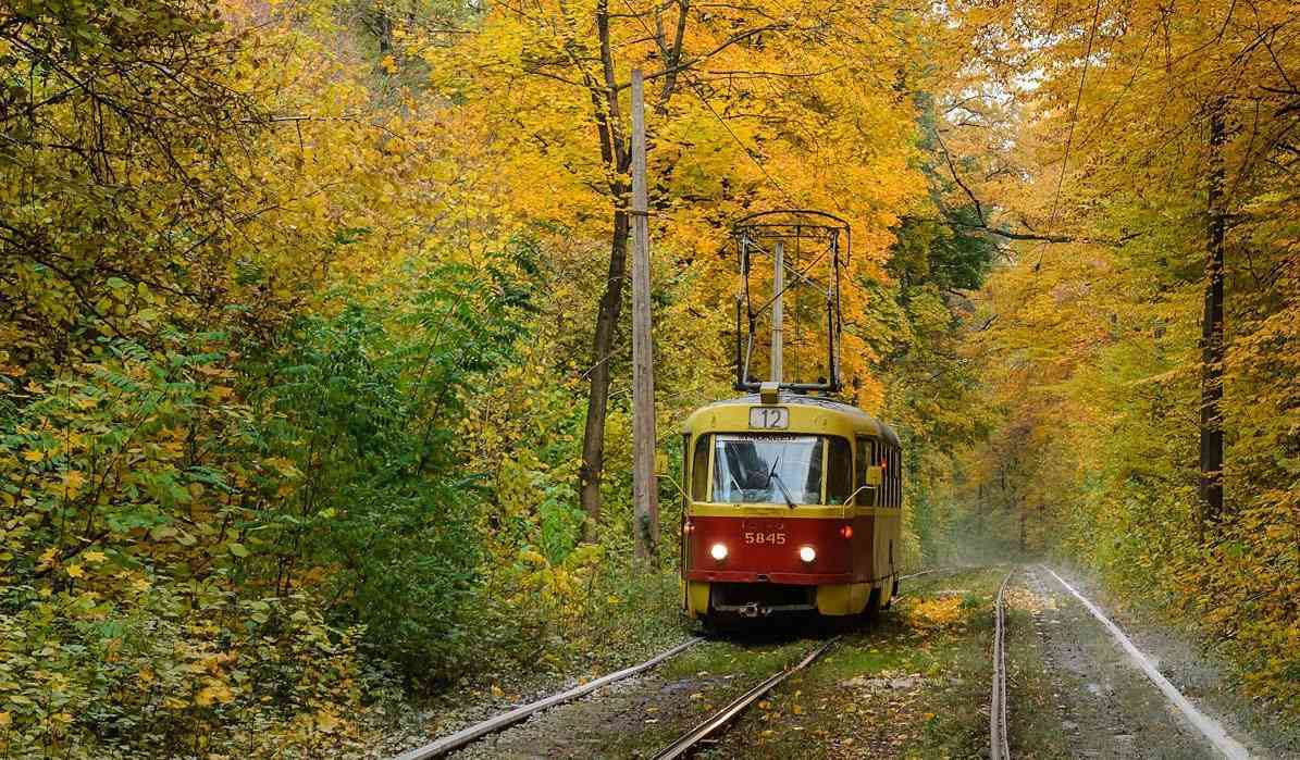 Осенний Трамвай Фото