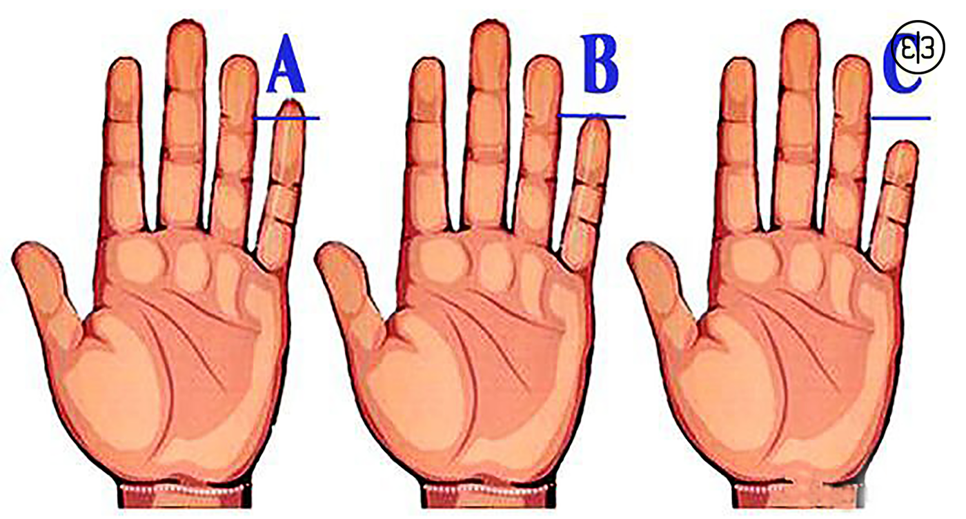 Длина пальцев рук