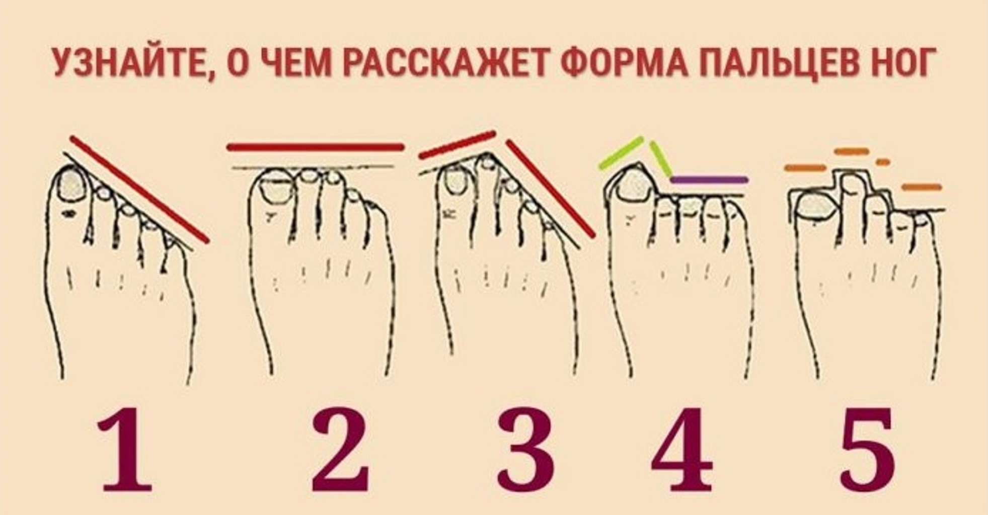 Какие бывают пальцы ног. Форма пальцев на ногах. Характер по пальцам ног. Форма расположения пальцев на ногах. Типы пальцев на ногах и характер.