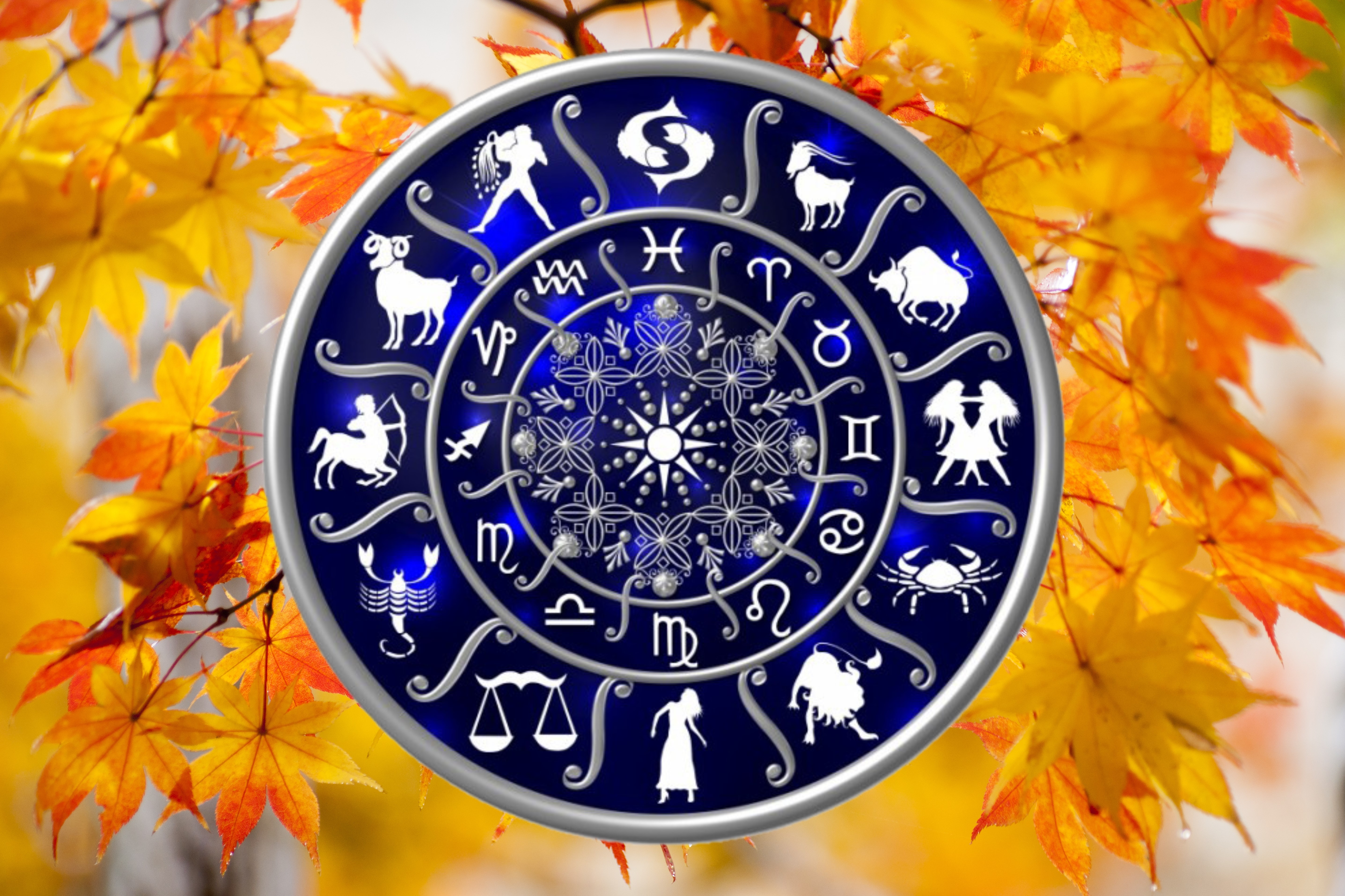 Предсказания на ноябрь. Астрология. Астропрогноз на ноябрь. Октябрь гороскоп. Осенние знаки зодиака.