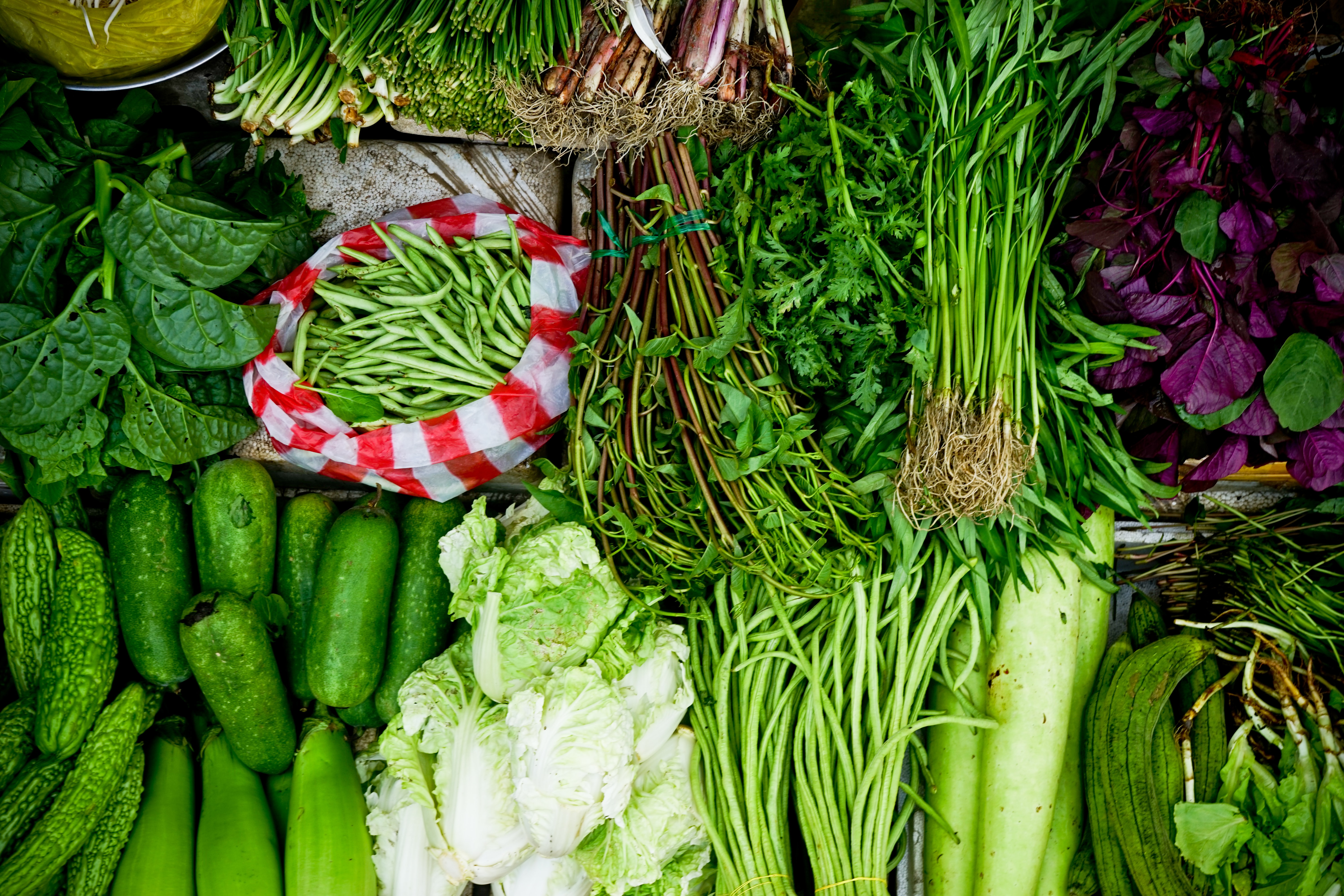 Vegetables. Овощи и зелень. Овощная зелень. Зеленные овощные культуры. Много зелени.